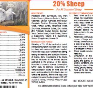 sheep-20