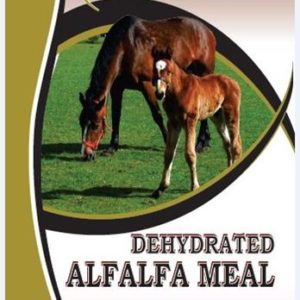 alf meal