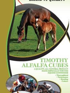 alfa timothy cubes