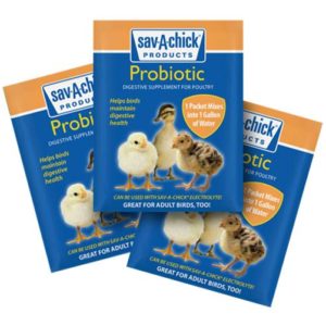 save-chick-probiotic