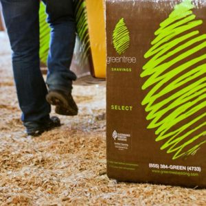 select-shavings