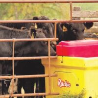 Livestock Care & Supplies