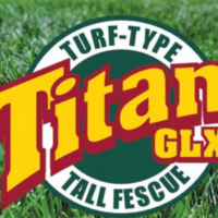 Titan GLX Tall Fescue